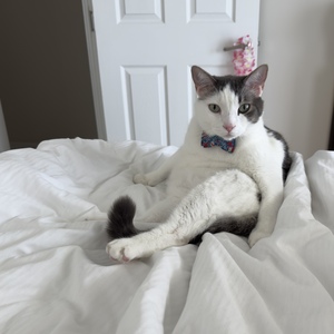 Michelle Russo Matak